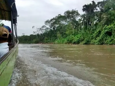 amazonas