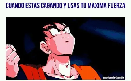 reir reir