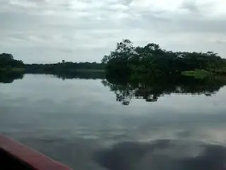 coca