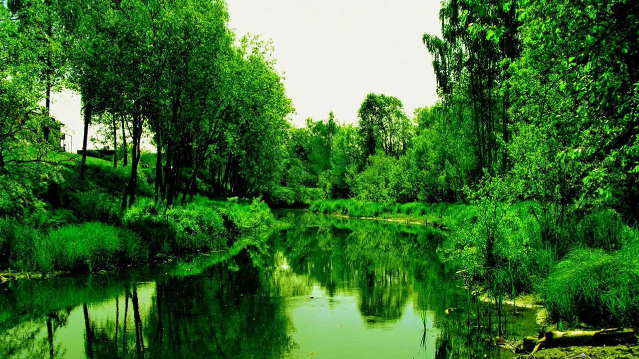 Los 5 Quimicos Mas Letales y Raros Que Existen