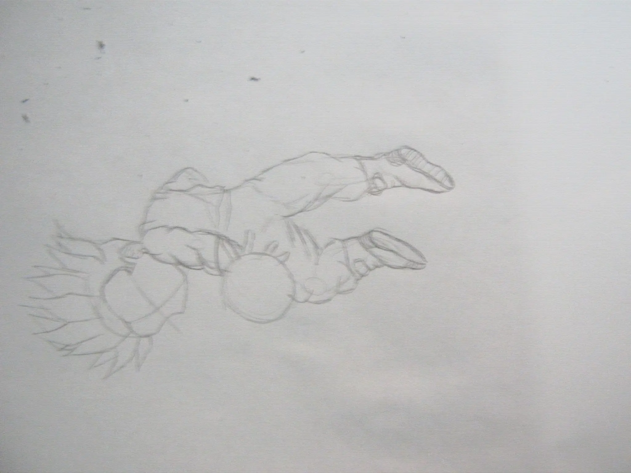 Dibujo