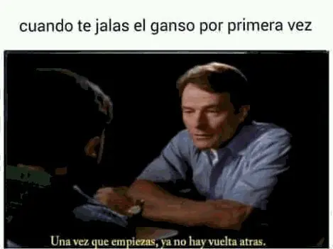 reir reir