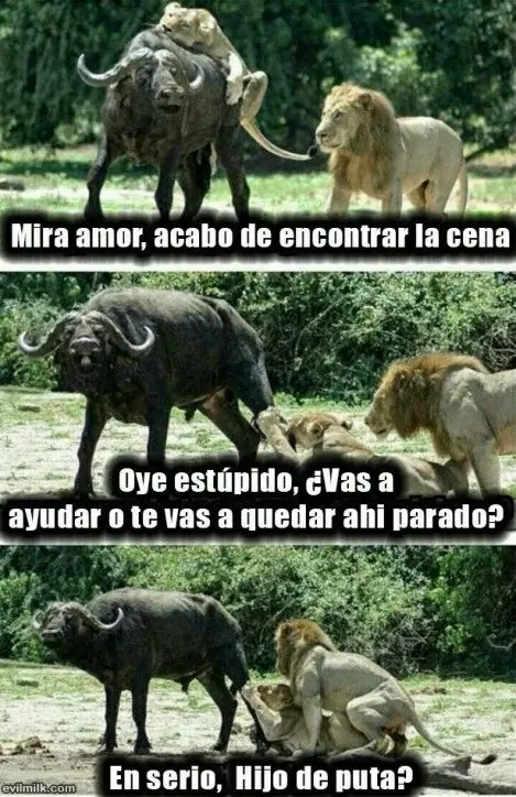 imagenes imagenes