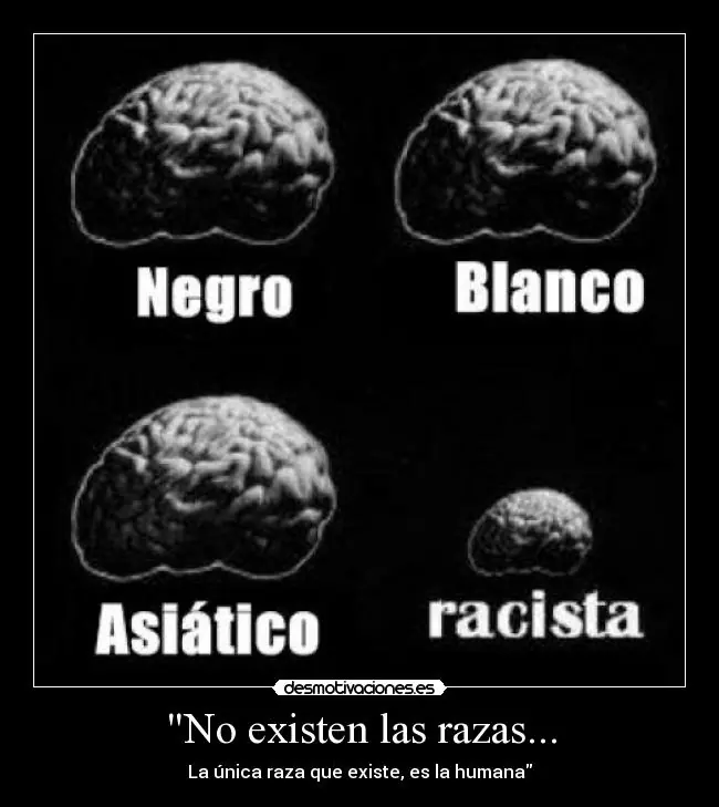 Las razas no existen en los seres humanos.