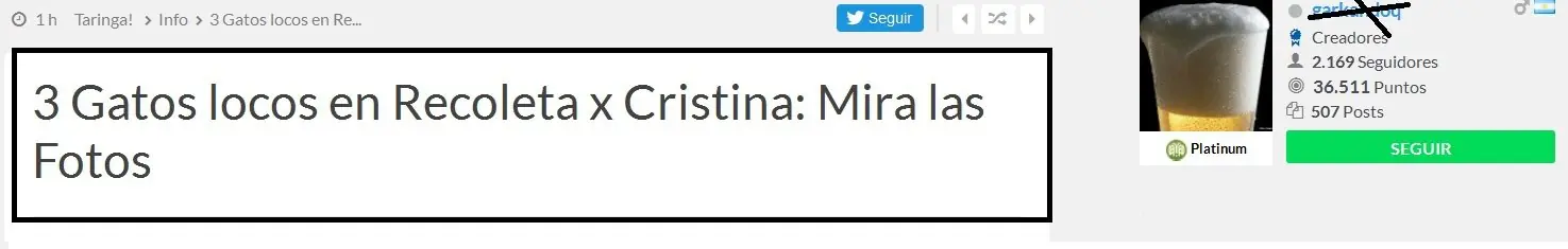 (CFK) Para T: fueron 3 gatos locos; Realidad: multitudinario