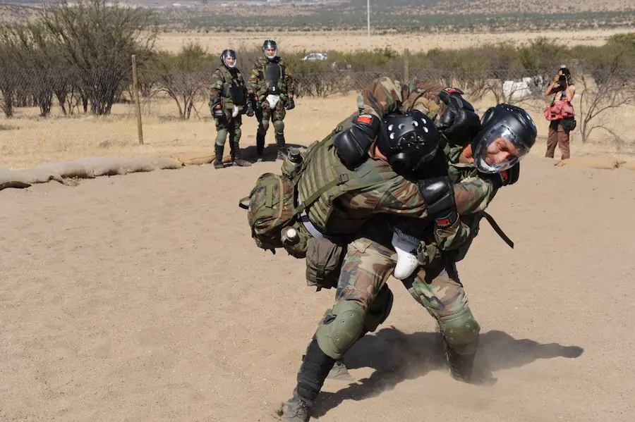 fuerzas armadas chilenas