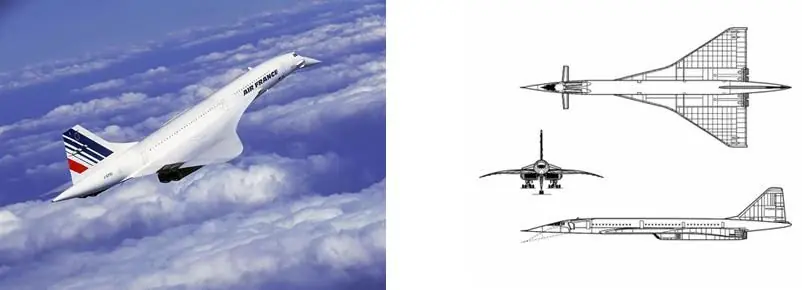 vuelo vuelo