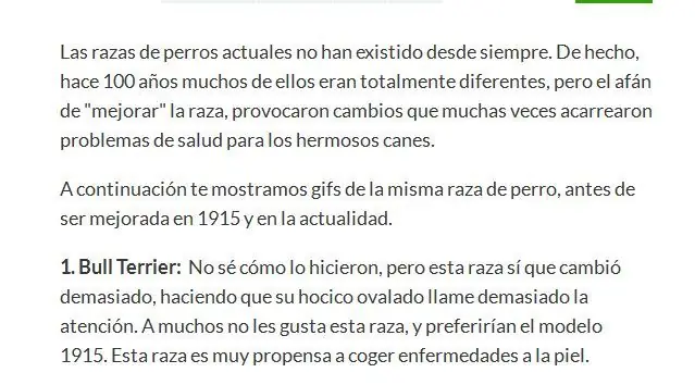 6 razas de perros y sus cambios con espectaculares gifs