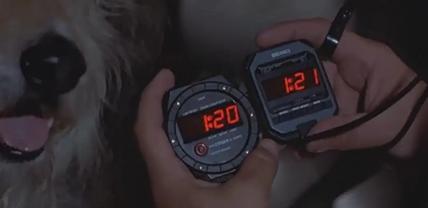 volveralfuturo volveralfuturo