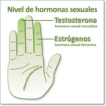 fisionomia