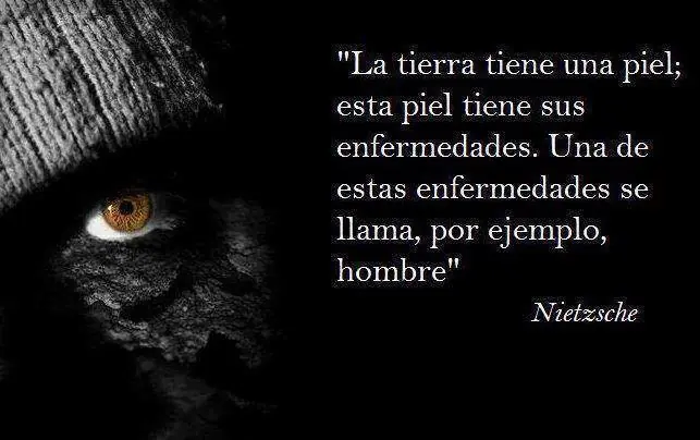 Humor para Filosofos Taringueros