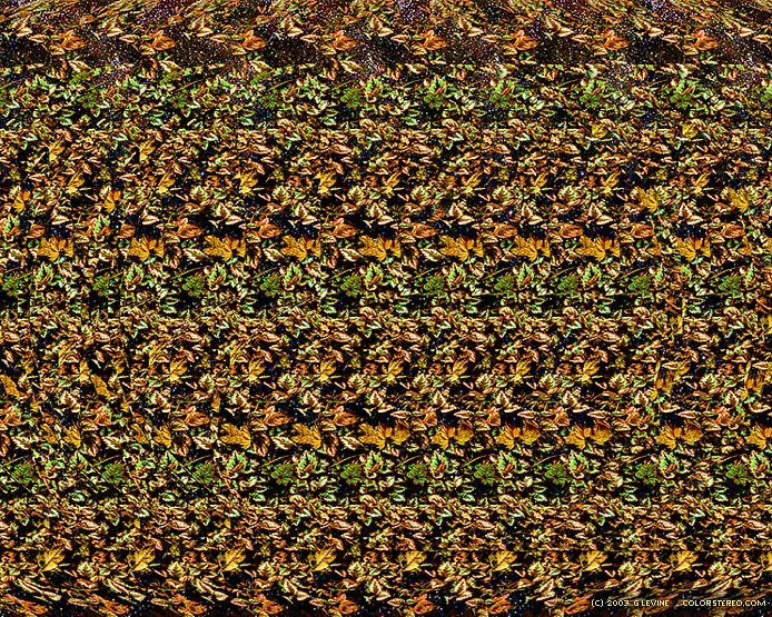 estereoscopia estereoscopia