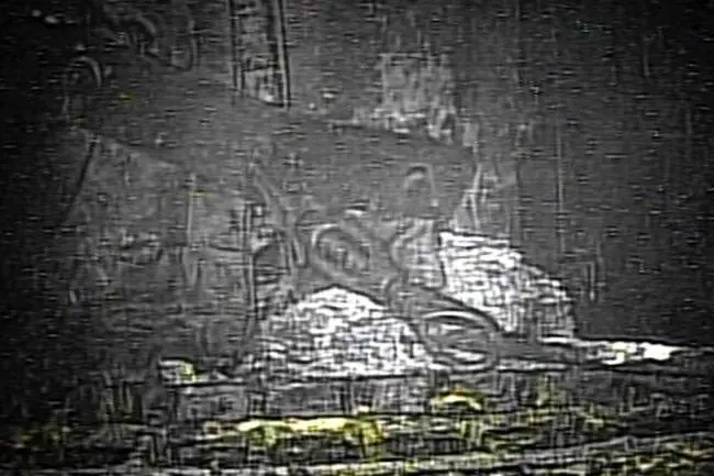 Radiación de Fukushima "mató" a un robot que entró a medirla