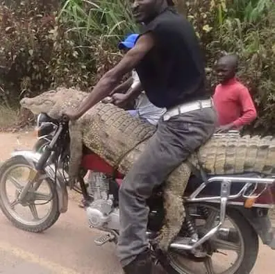 wtf