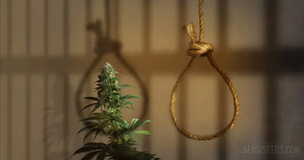 Lugares donde la marihuana puede costarte la vida