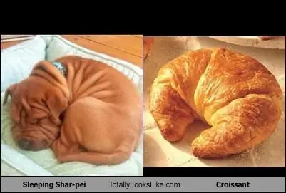 Parecidos