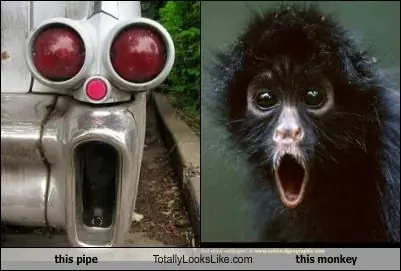 imagenes divertidas