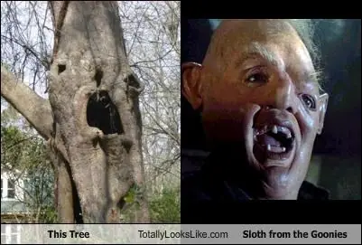 imagenes divertidas