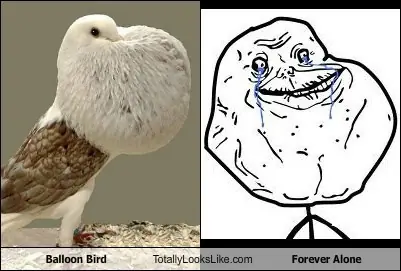 humor