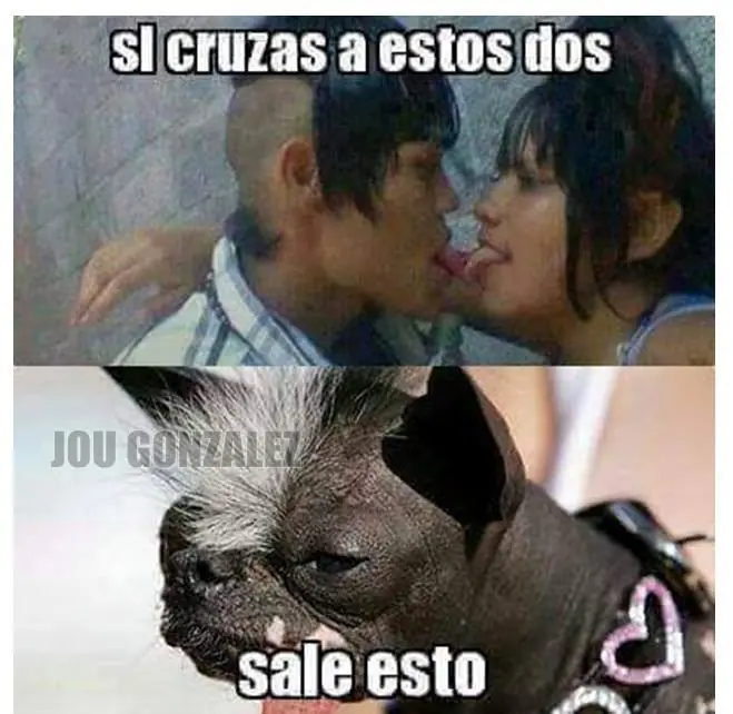 humor