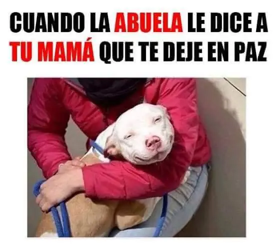 humor