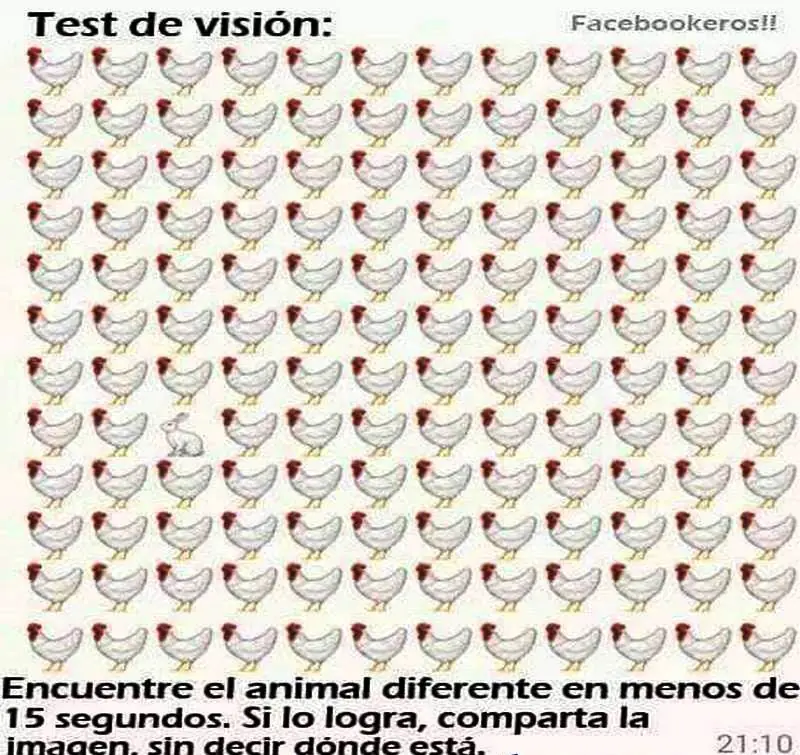 imagenes divertidas