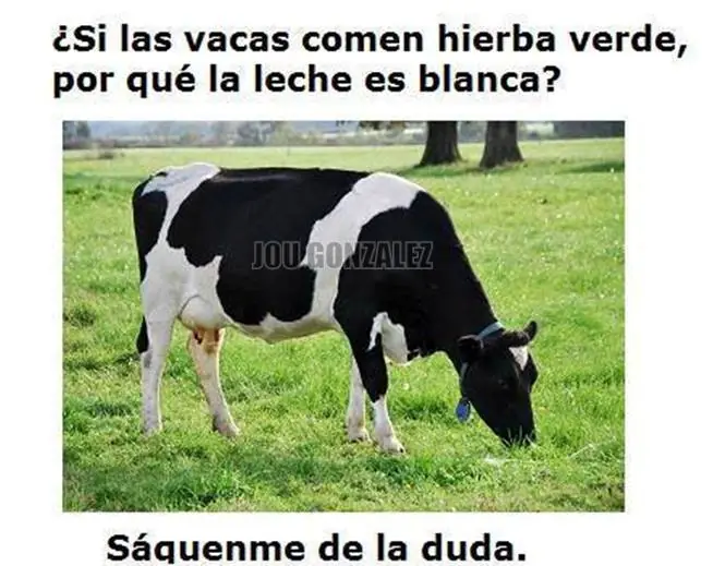 Humor de Viernes