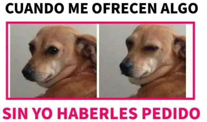 Humor de Viernes