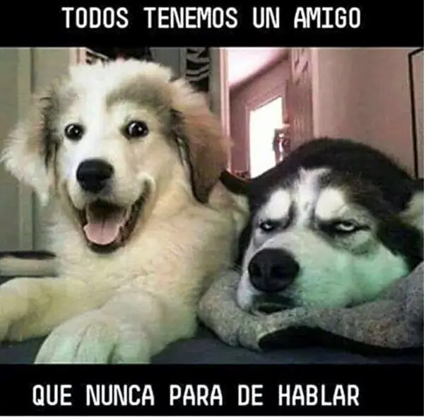 Humor de Viernes