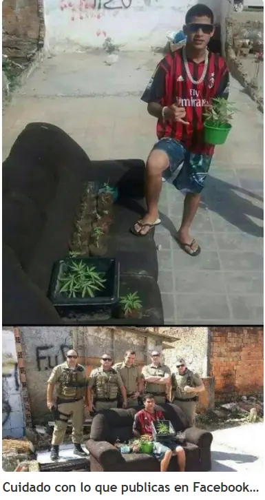 imagenes divertidas