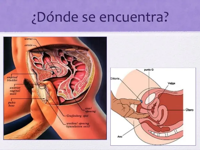 multiorgasno facil