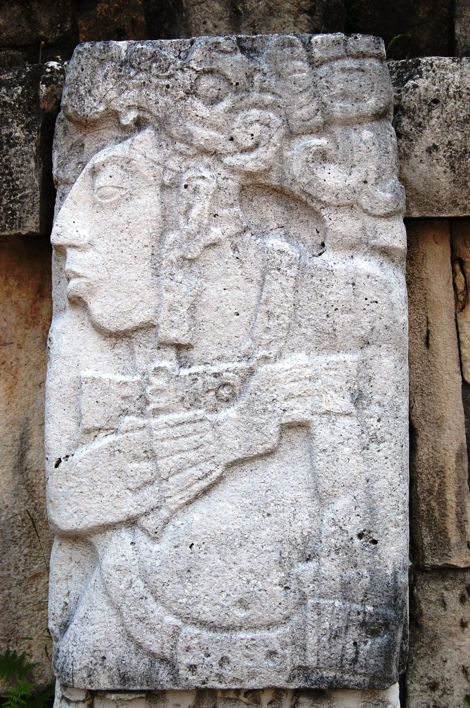 soy chiapas