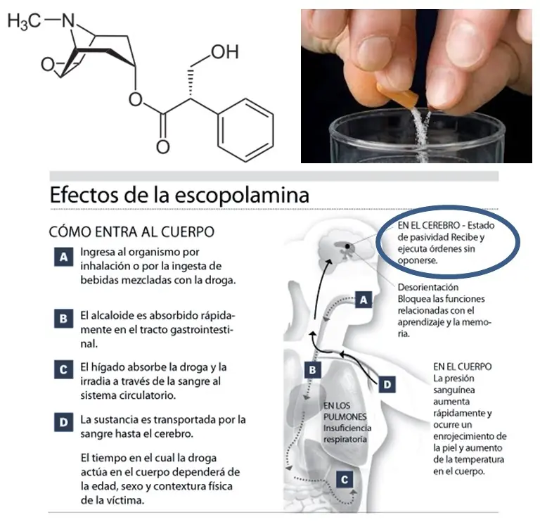 Drogas