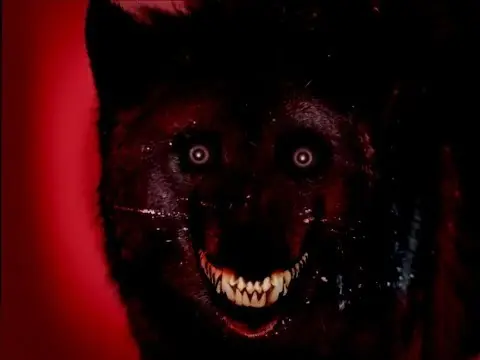 Smilejpg Smilejpg