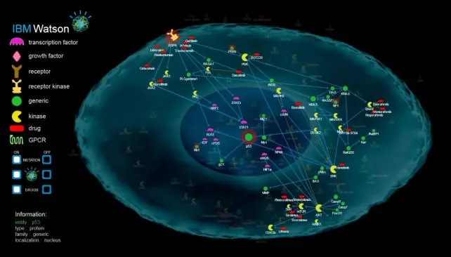 Watson, la computadora que diagnostica