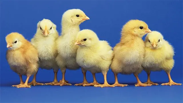informacion que preferirias no saber
