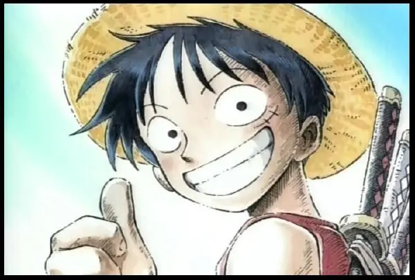one piece one piece