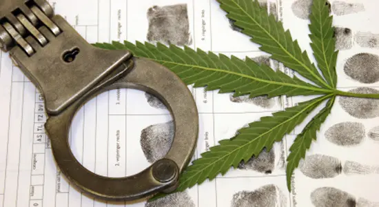 QUE ES LA MARIHUANA