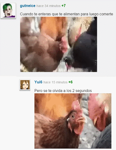 mejores comentarios