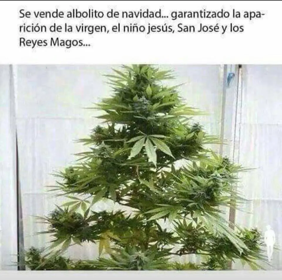 parte7