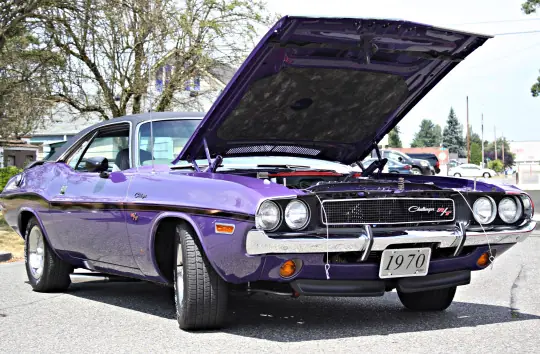 dodge