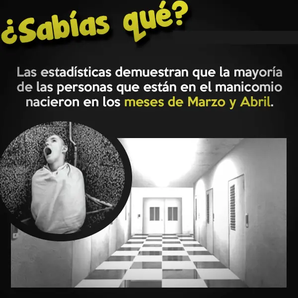 Curiosidades
