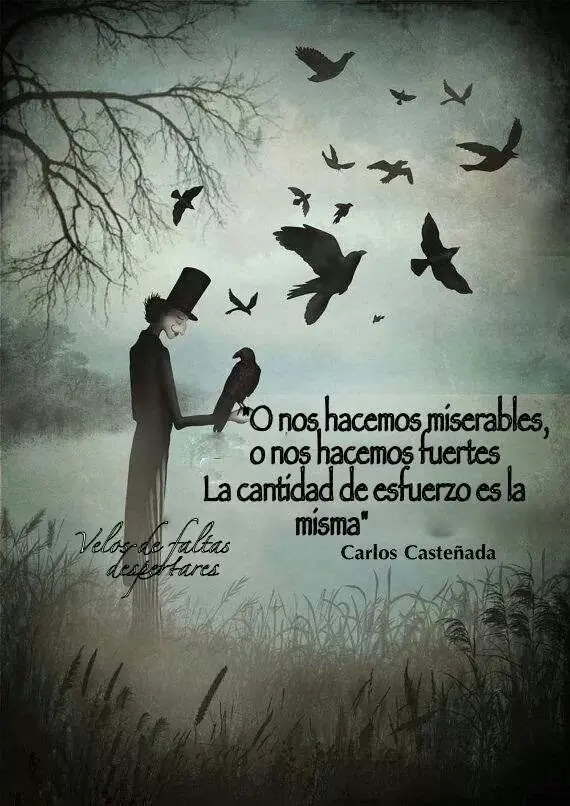 pensamientos pensamientos