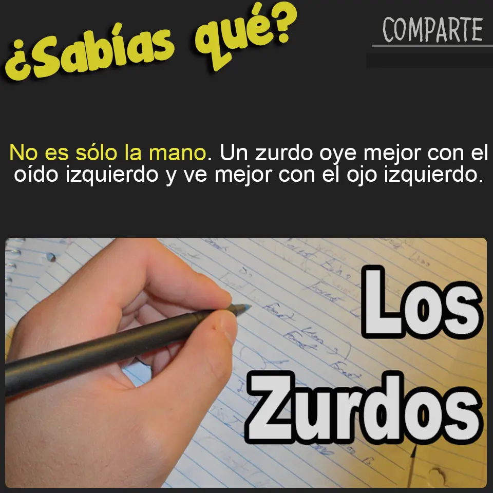 curiosidad