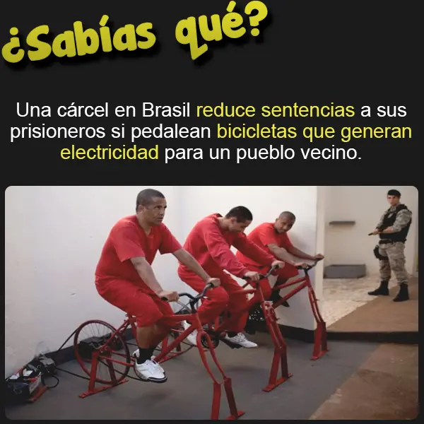 Curiosidades