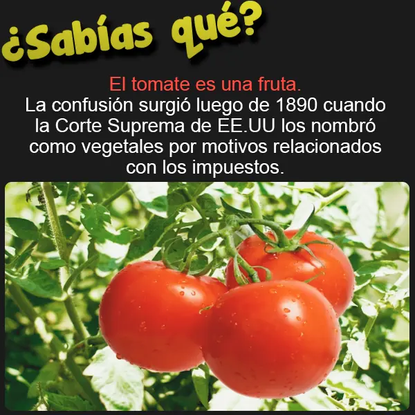 Curiosidades