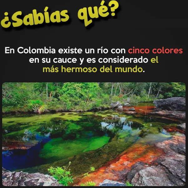 curiosidad