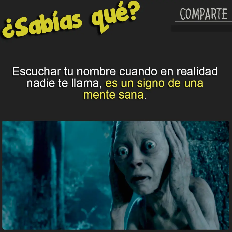 Curiosidades