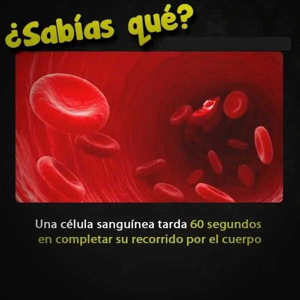 Curiosidades
