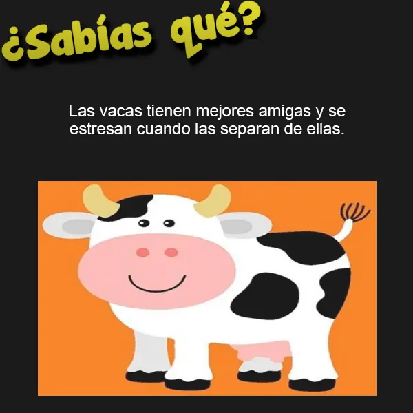cosas raras